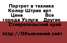 Портрет в технике “Колор-Штрих-арт“ › Цена ­ 250-350 - Все города Услуги » Другие   . Ставропольский край